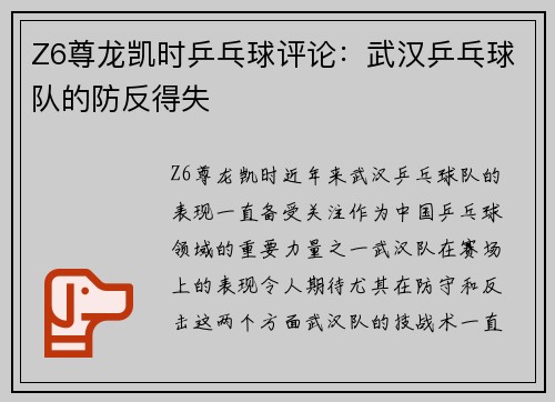 Z6尊龙凯时乒乓球评论：武汉乒乓球队的防反得失