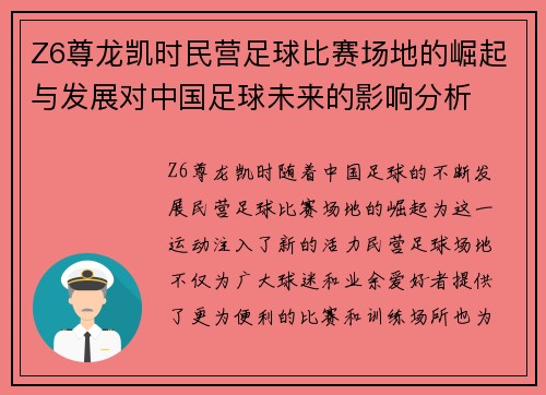 Z6尊龙凯时民营足球比赛场地的崛起与发展对中国足球未来的影响分析